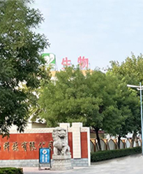 眾升科技高壓無功補(bǔ)償柜 --助力山東福洋生物科技股份有限公司,高效用電、改善用電質(zhì)量！
